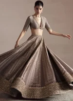 Gray Baraat Bridal Lehenga Choli with Gold Zari Embroidery – Front View Gray Baraat Lehenga Choli with Criss-Cross Keyhole Back Video